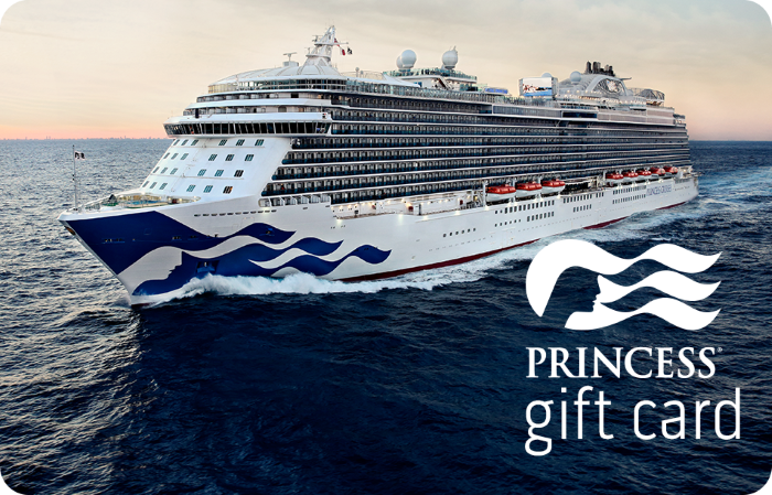 5b6201fc-3373-4bd8-b8ba-744c30ff5efc_1103320.png Princess Cruises Standard Gift Card (Physical Delivery) - Image 1